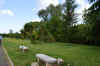 DSC_0047R.jpg (83504 byte)