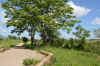 DSC_0056R.jpg (117472 byte)