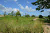 DSC_0058R.jpg (94655 byte)