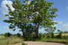 DSC_0060R.jpg (111644 byte)