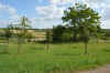 DSC_0063R.jpg (110119 byte)