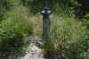 DSC_0108R.jpg (190412 byte)