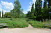 DSC_0109R.jpg (154190 byte)