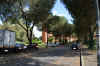 DSC_0156R.jpg (106538 byte)
