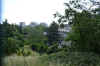 DSC_0158R.jpg (106355 byte)