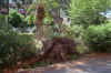 DSC_0162R.jpg (147971 byte)
