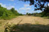 DSC_0169R.jpg (105702 byte)