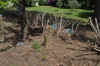 DSC_0177R.jpg (138177 byte)