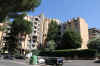 IMG_2498R.jpg (219790 byte)