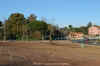 DSC_0179_r.jpg (73809 byte)